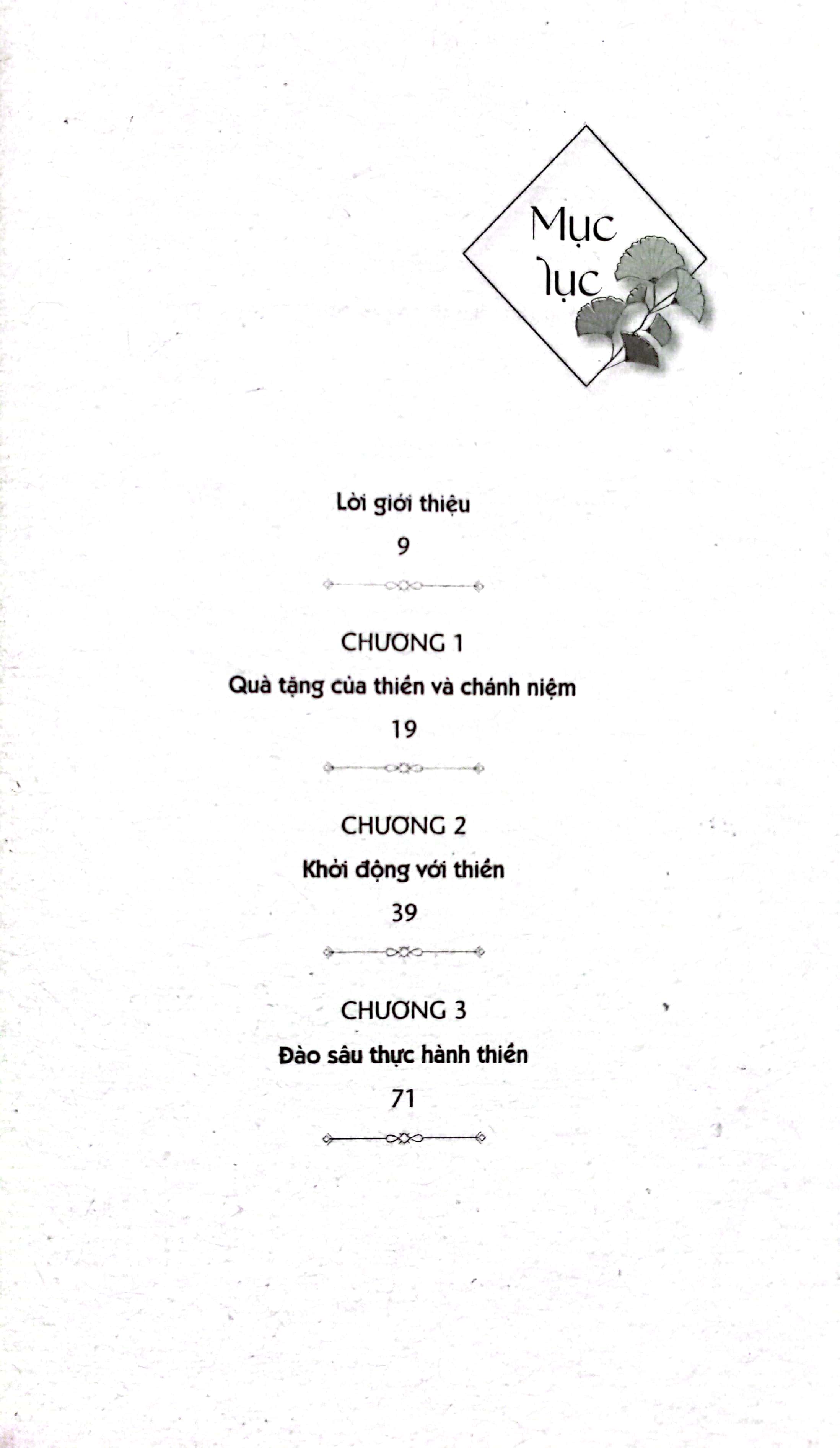 how to meditate like a buddhist - thiền như một phật tử