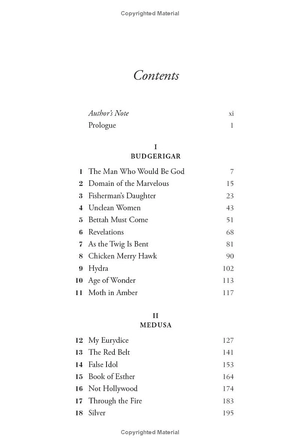 how to say babylon - a memoir