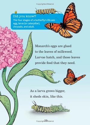 hug a bug: how you can help protect insects (dr. seuss's the lorax books)