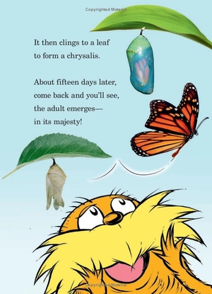 hug a bug: how you can help protect insects (dr. seuss's the lorax books)