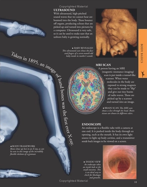 human body a children's encyclopedia