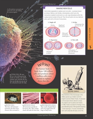 human body a children's encyclopedia