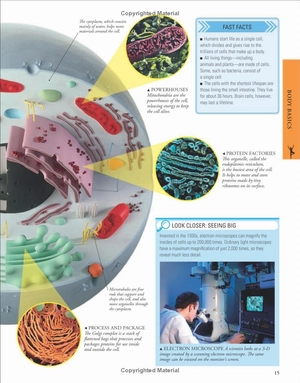 human body a children's encyclopedia