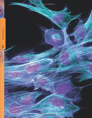 human body a children's encyclopedia