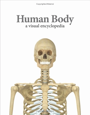 human body a children's encyclopedia