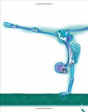 human body a children's encyclopedia