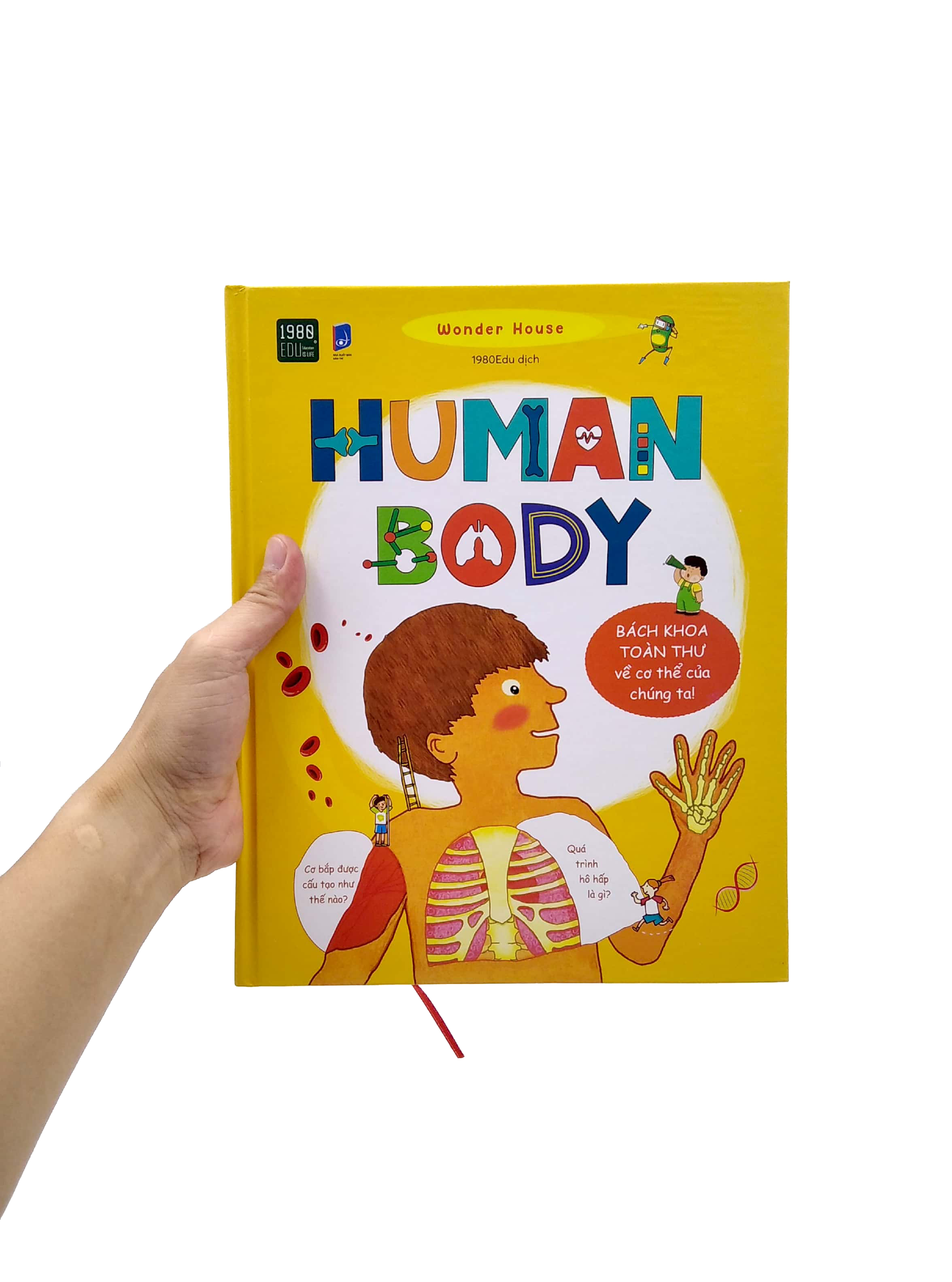 human body - bách khoa toàn thư về cơ thể chúng ta