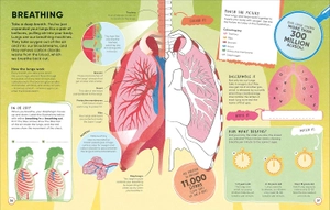 human body - over 100 brain-boosting activities that make learning easy and fun