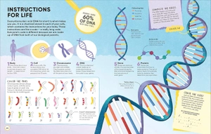 human body - over 100 brain-boosting activities that make learning easy and fun