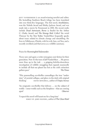 hummingbird salamander