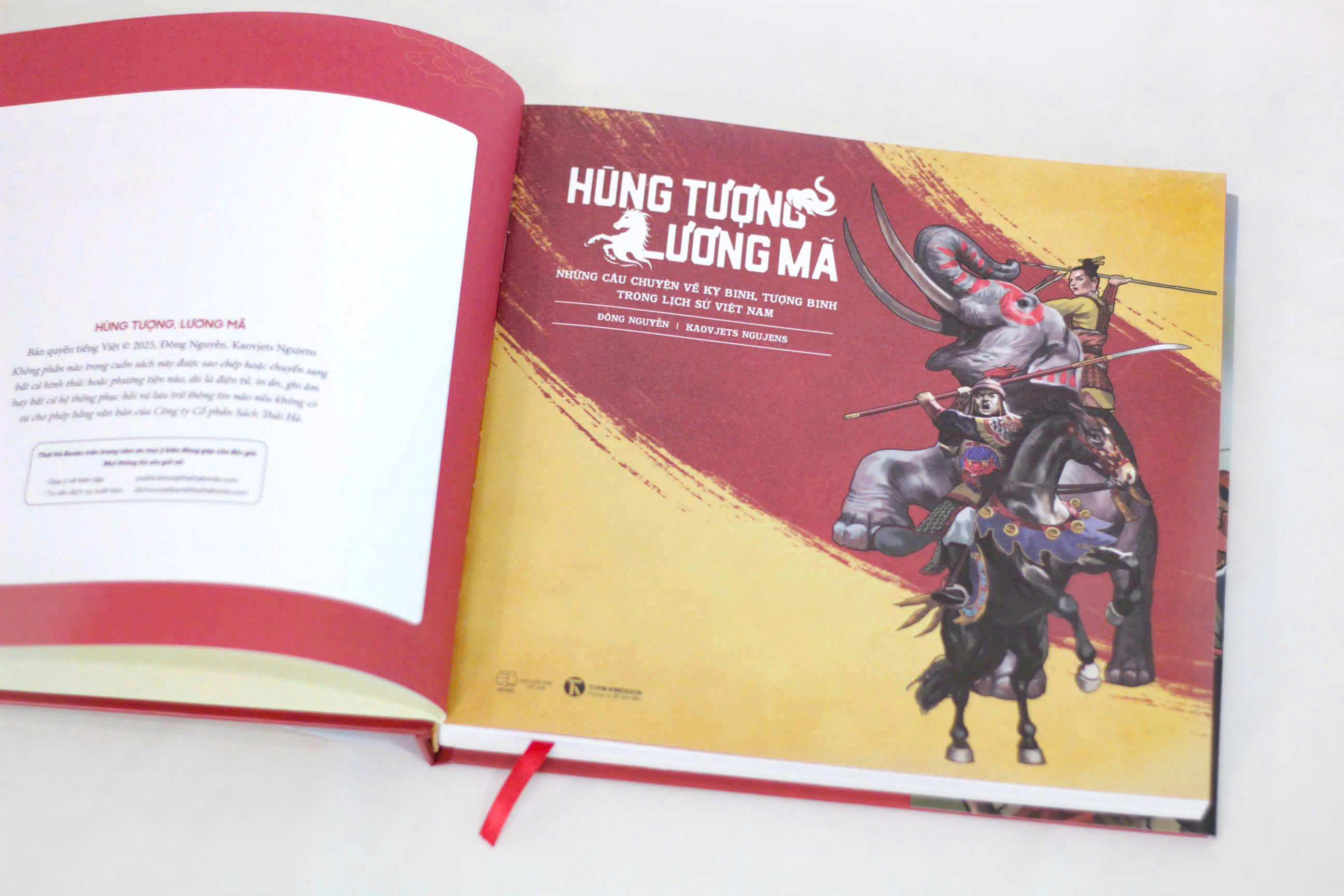 Hung Tuong Luong Ma - Nhung Cau Chuyen Ve Ky Binh, Tuong Binh Trong Lich Su Viet Nam - An Ban Dac Biet - Bia Cung