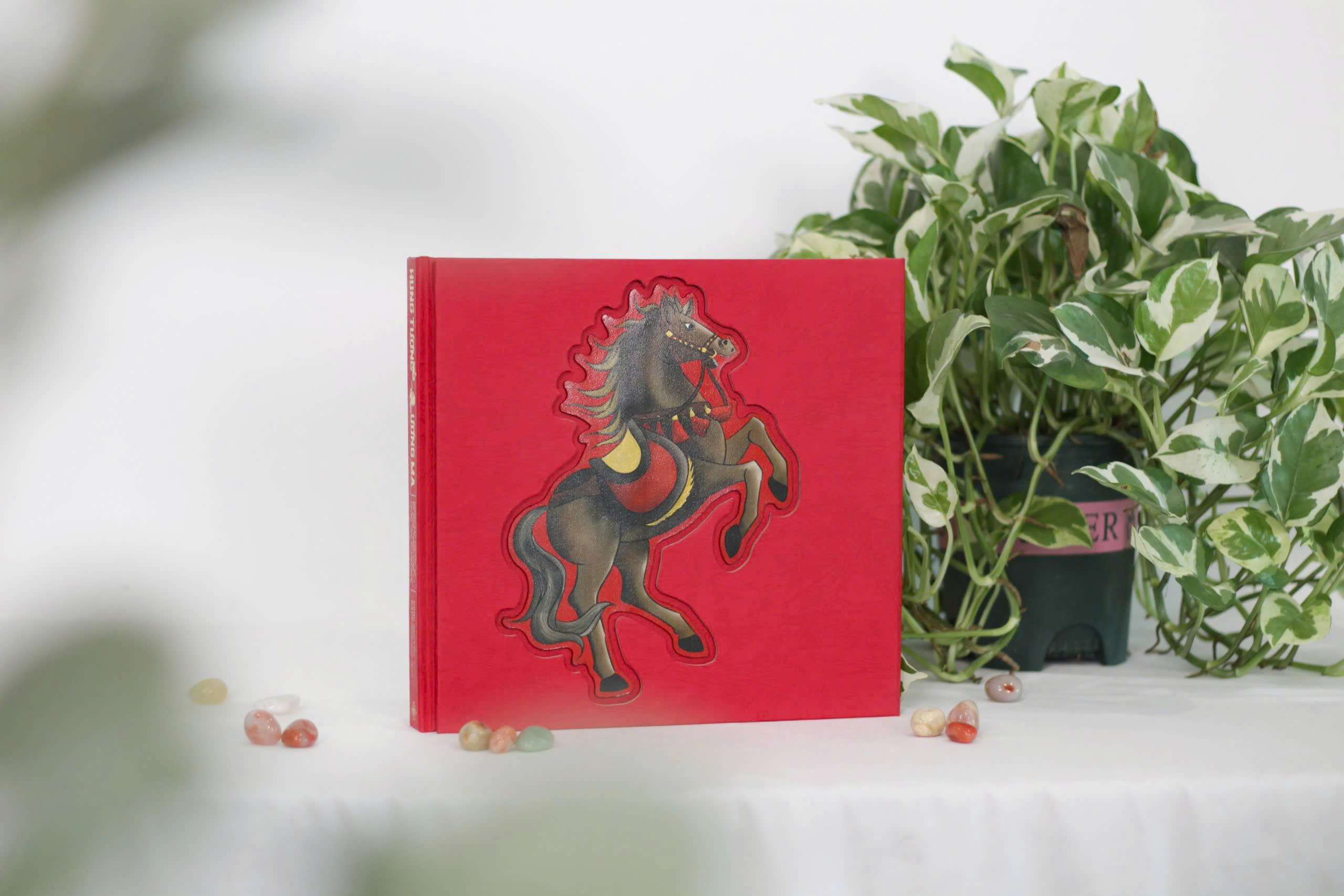 Hung Tuong Luong Ma - Nhung Cau Chuyen Ve Ky Binh, Tuong Binh Trong Lich Su Viet Nam - An Ban Dac Biet - Bia Cung