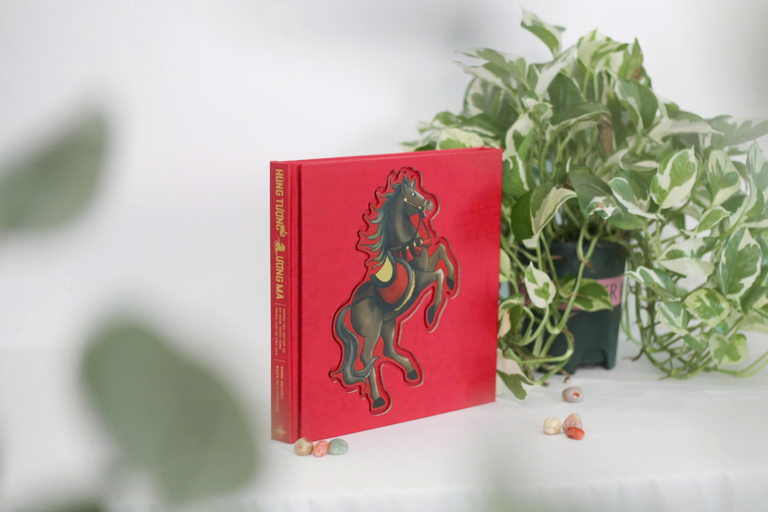 Hung Tuong Luong Ma - Nhung Cau Chuyen Ve Ky Binh, Tuong Binh Trong Lich Su Viet Nam - An Ban Dac Biet - Bia Cung