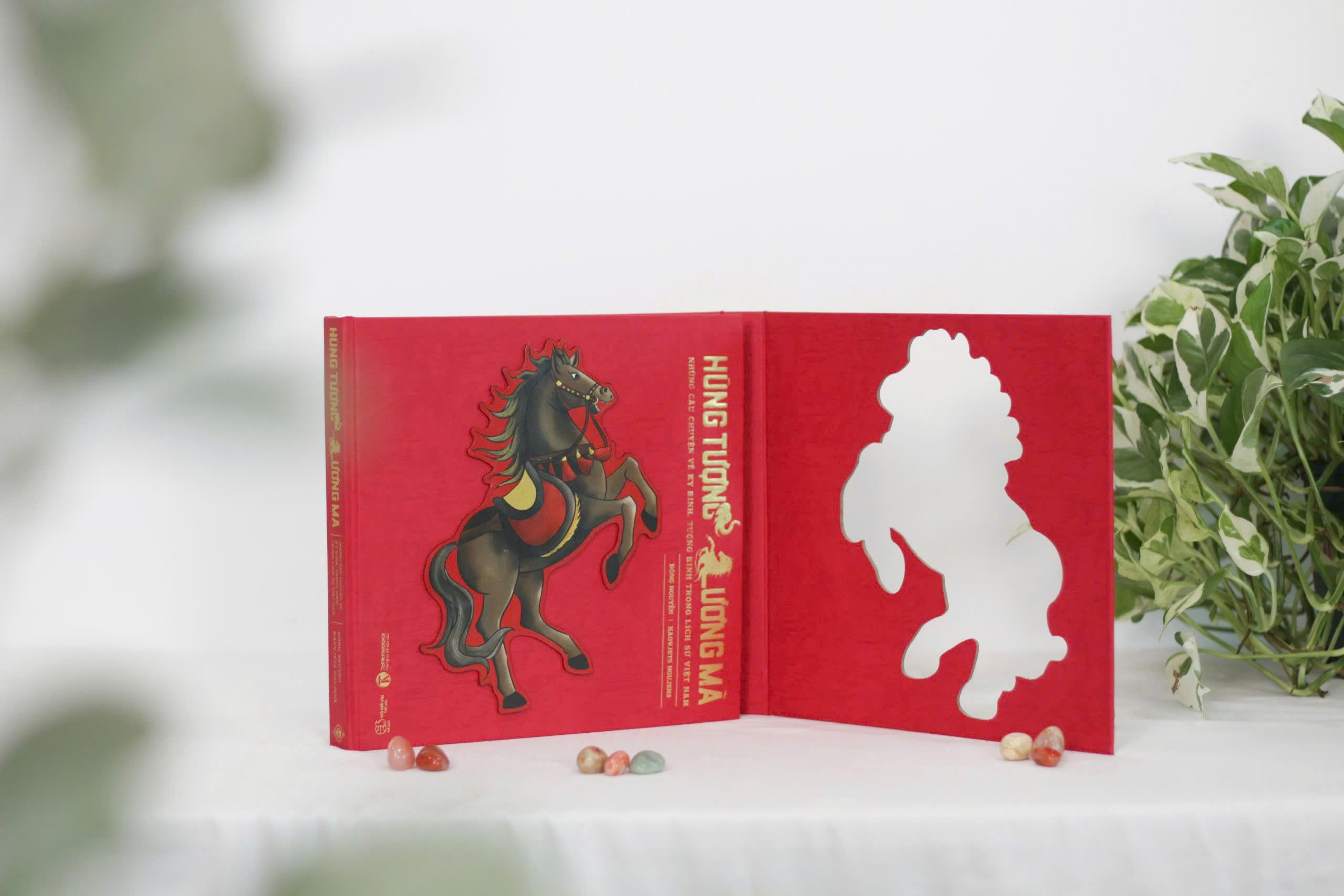 Hung Tuong Luong Ma - Nhung Cau Chuyen Ve Ky Binh, Tuong Binh Trong Lich Su Viet Nam - An Ban Dac Biet - Bia Cung