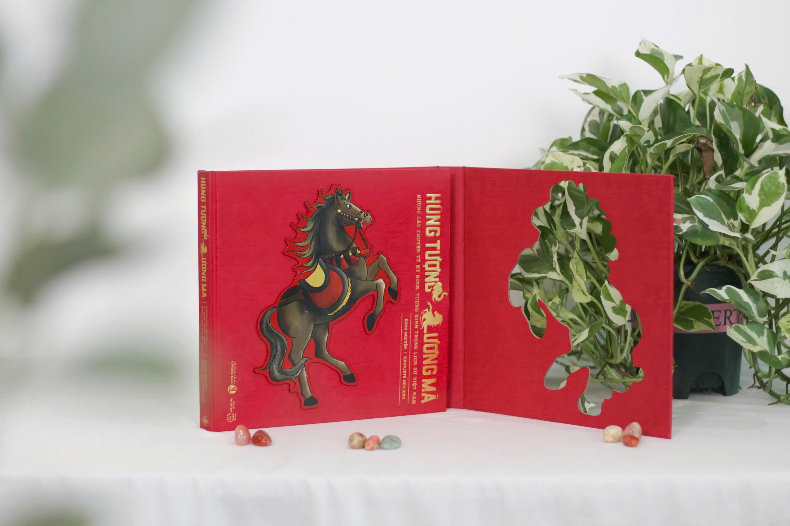 Hung Tuong Luong Ma - Nhung Cau Chuyen Ve Ky Binh, Tuong Binh Trong Lich Su Viet Nam - An Ban Dac Biet - Bia Cung