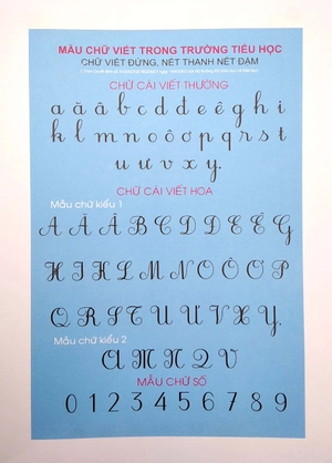 hướng dẫn chi tiết bé tập viết - vở ô ly nét cơ bản & chữ số