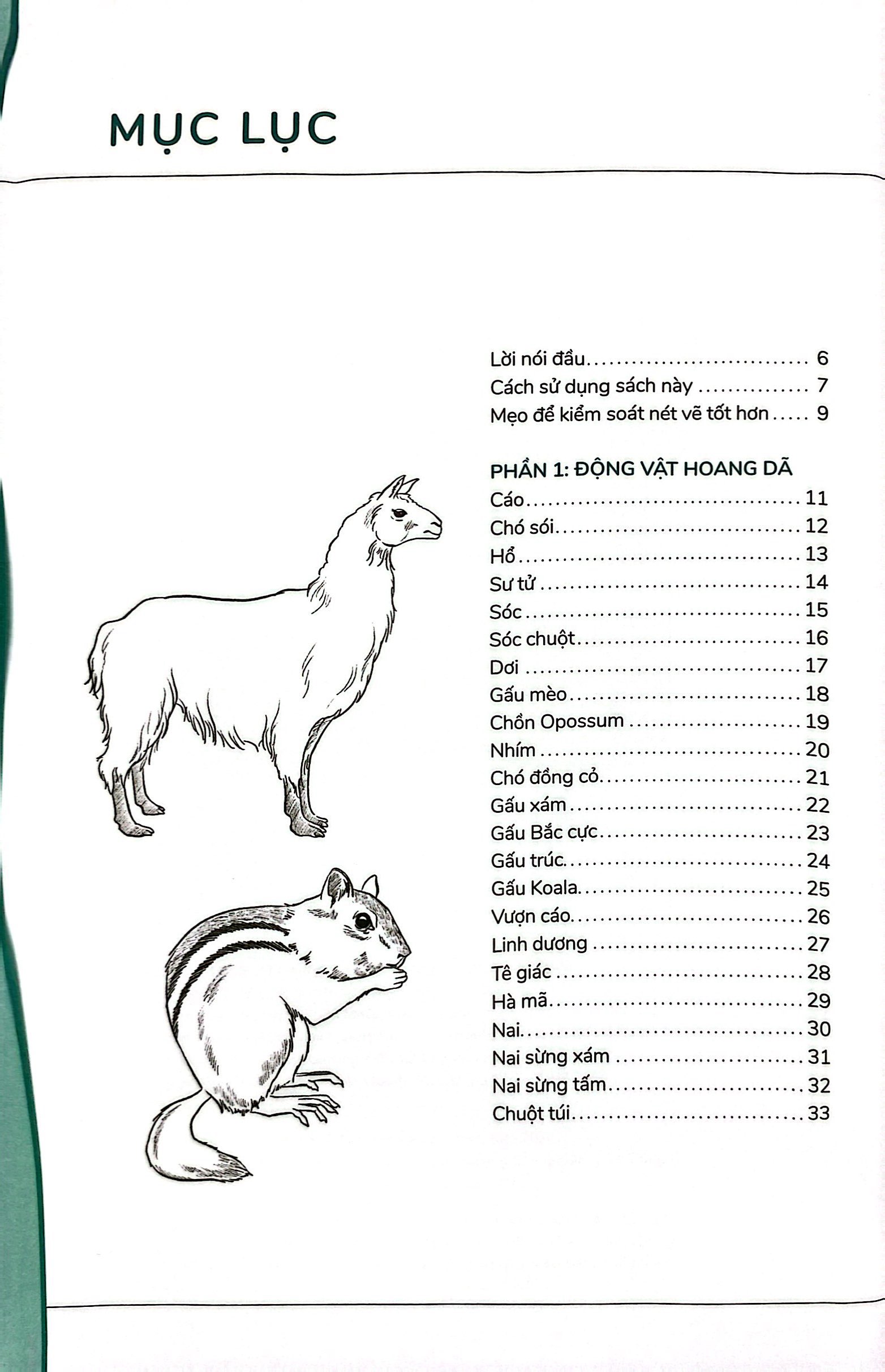 hướng dẫn vẽ 100 loài động vật hoang dã