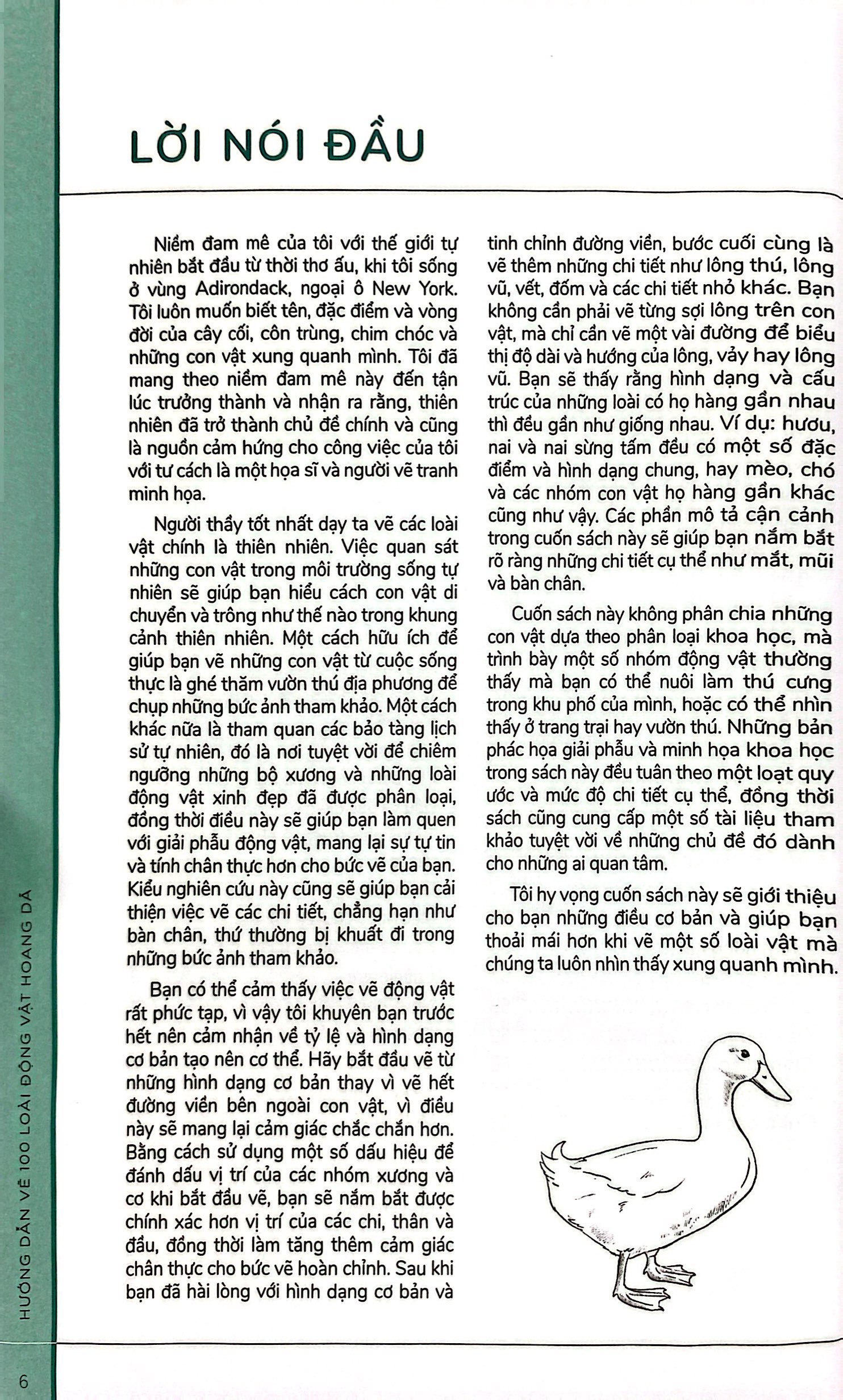 hướng dẫn vẽ 100 loài động vật hoang dã