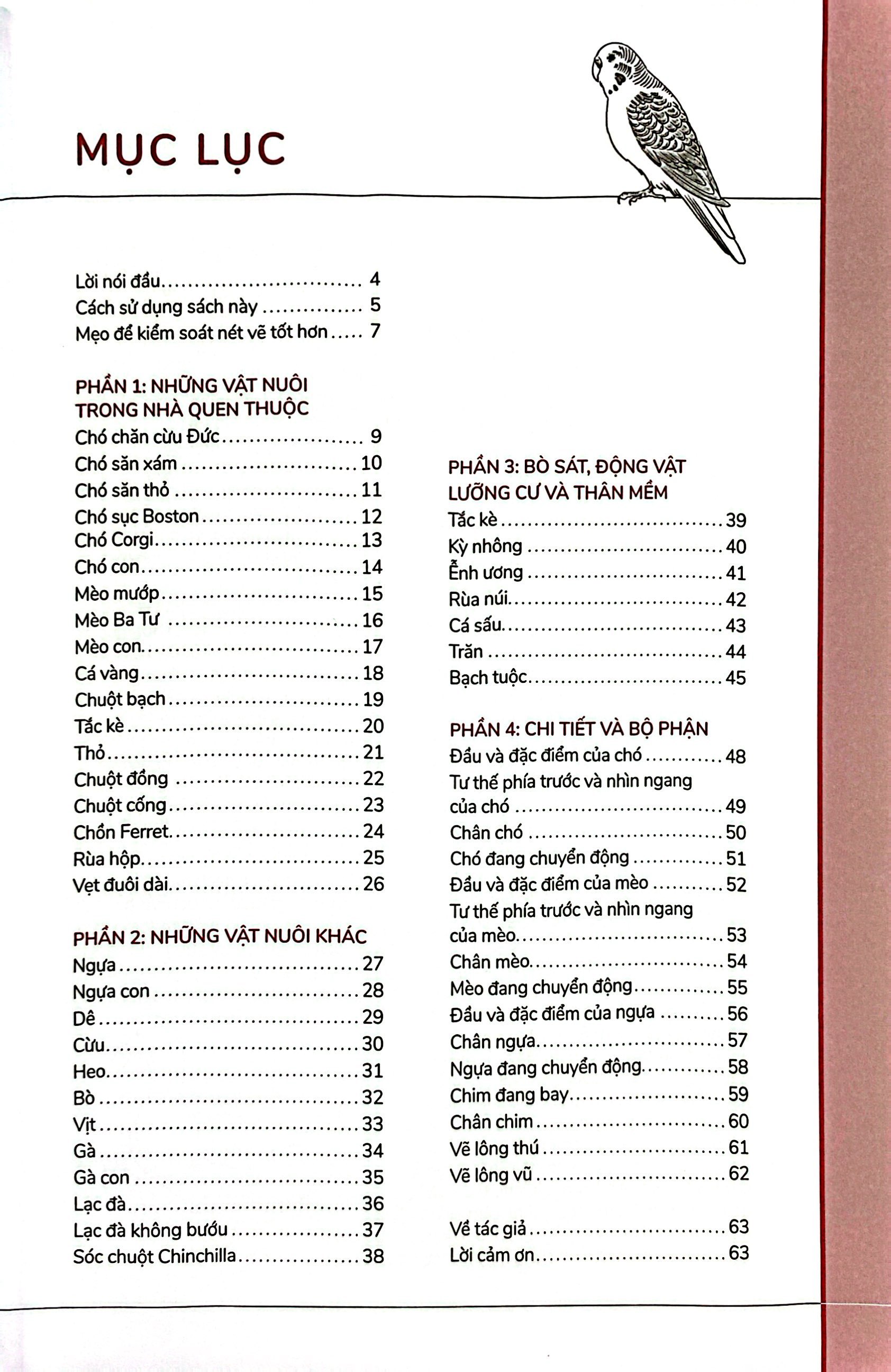 hướng dẫn vẽ 100 loài động vật nuôi