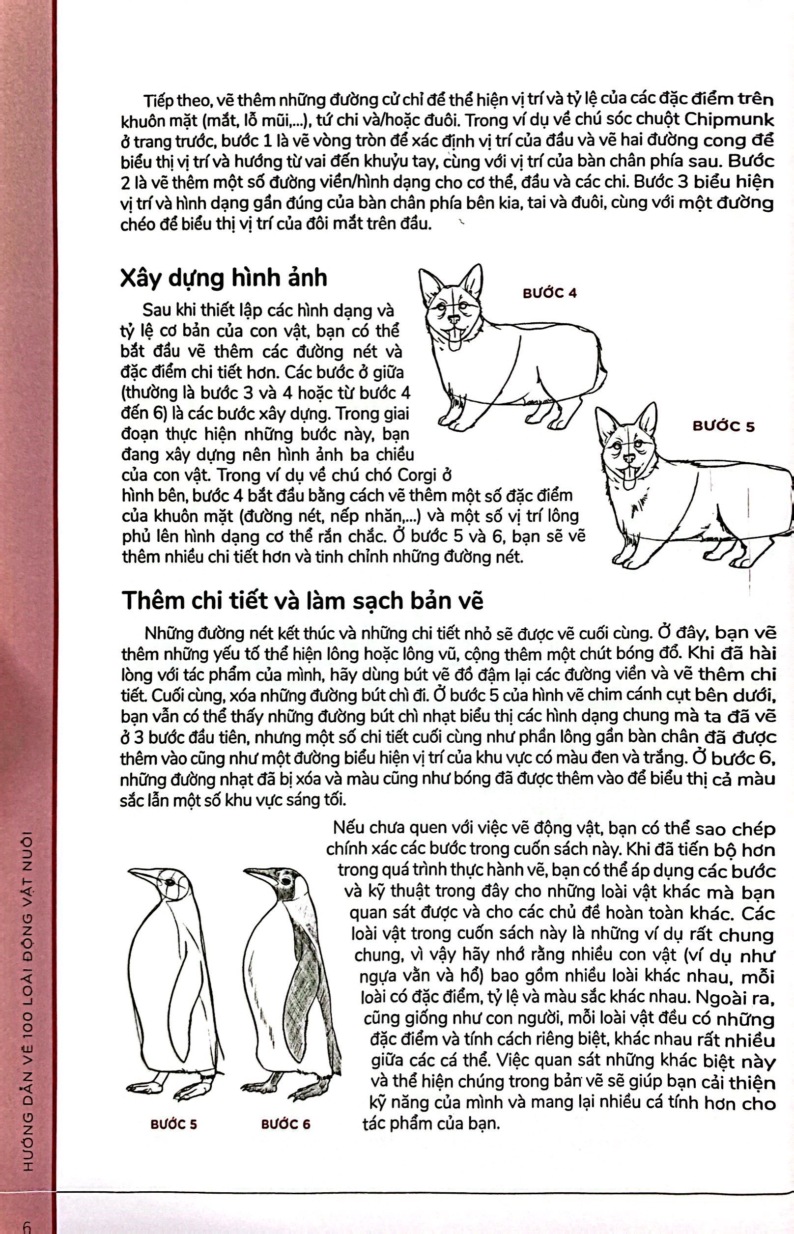 hướng dẫn vẽ 100 loài động vật nuôi
