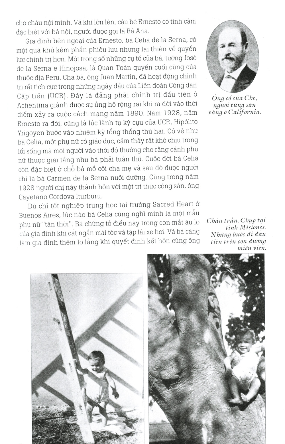 huyền thoại che - bản lĩnh tính cách tình yêu và sự bất tử (tái bản 2014)