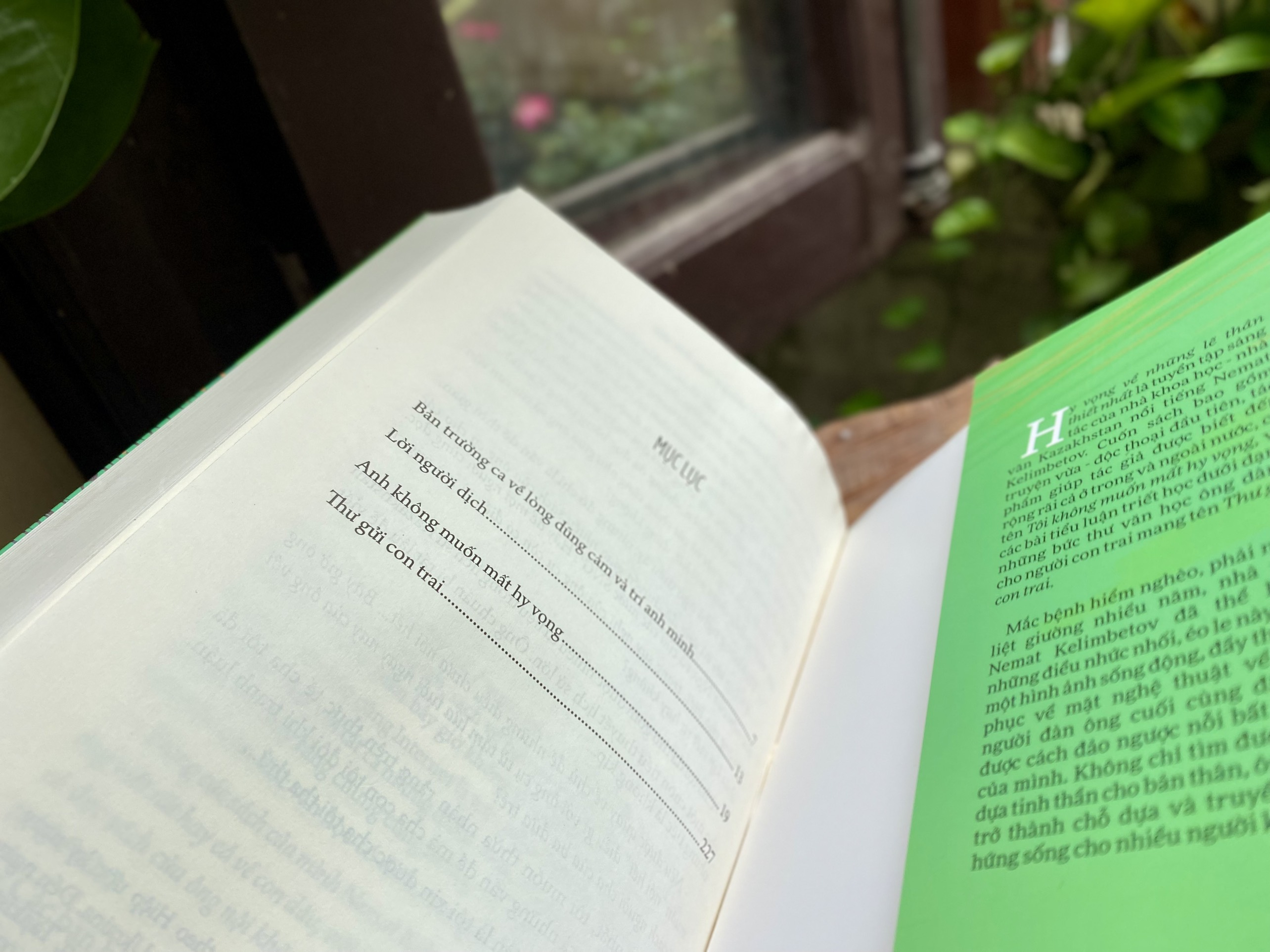 hy vọng về những lẽ thân thiết nhất