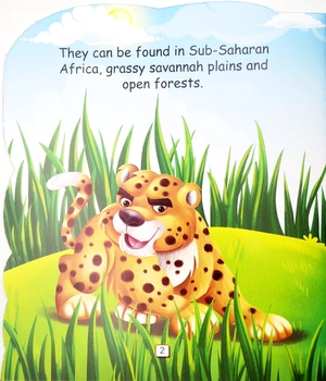 i am a cheetah... the fastest land animal in the world