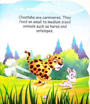 i am a cheetah... the fastest land animal in the world
