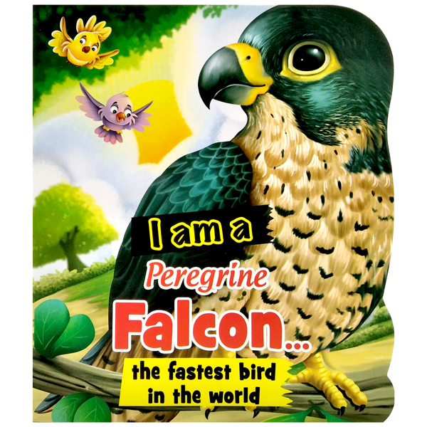 i am a peregrine falcon... the fastest bird in the world