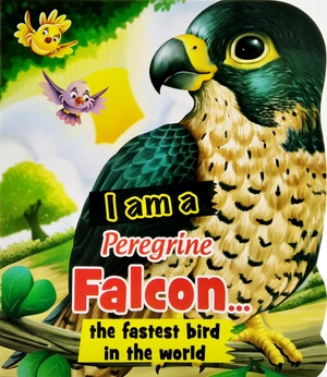 i am a peregrine falcon... the fastest bird in the world