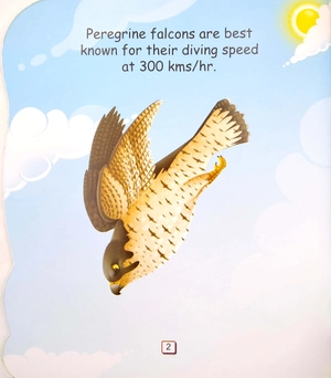 i am a peregrine falcon... the fastest bird in the world