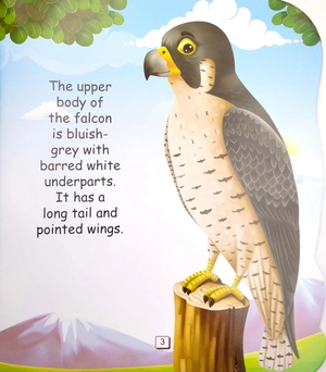 i am a peregrine falcon... the fastest bird in the world
