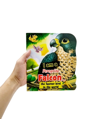 i am a peregrine falcon... the fastest bird in the world