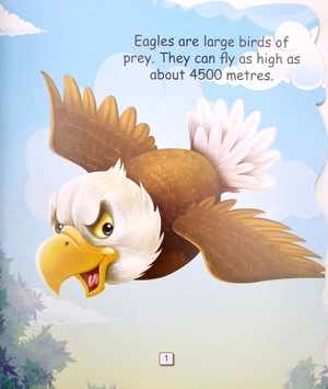 i am an eagle… the king of the sky