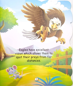 i am an eagle… the king of the sky