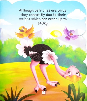i am an ostrich… the largest bird in the world