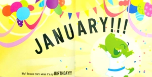 i'm a january birthday girl