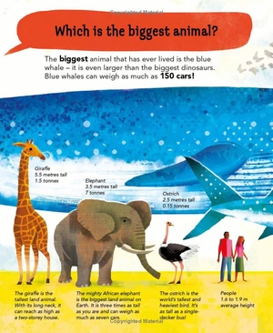 i wonder why camels have humps