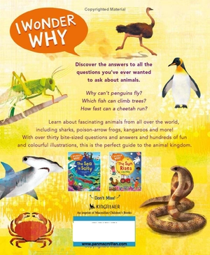 i wonder why camels have humps