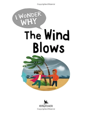i wonder why the wind blows