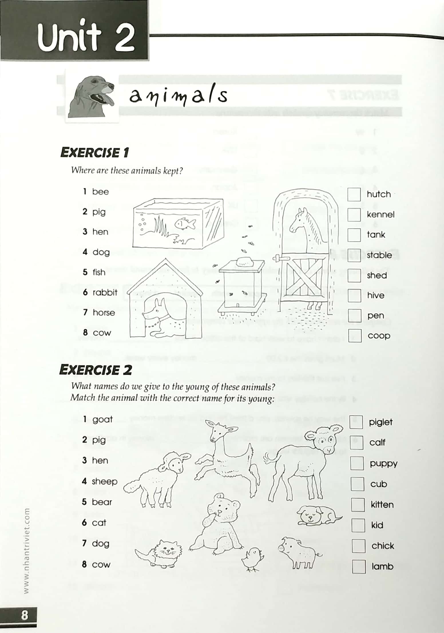 ielts the vocabulary files b2 - upper intermediate (tái bản 2018)