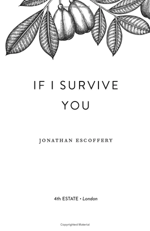 if i survive you