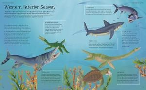 illustrated encyclopedia of dinosaurs