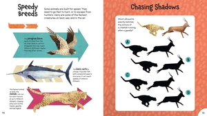 incredible animal activity book