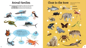 incredible animal activity book