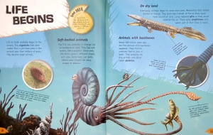 incredible but true: dinosaurs