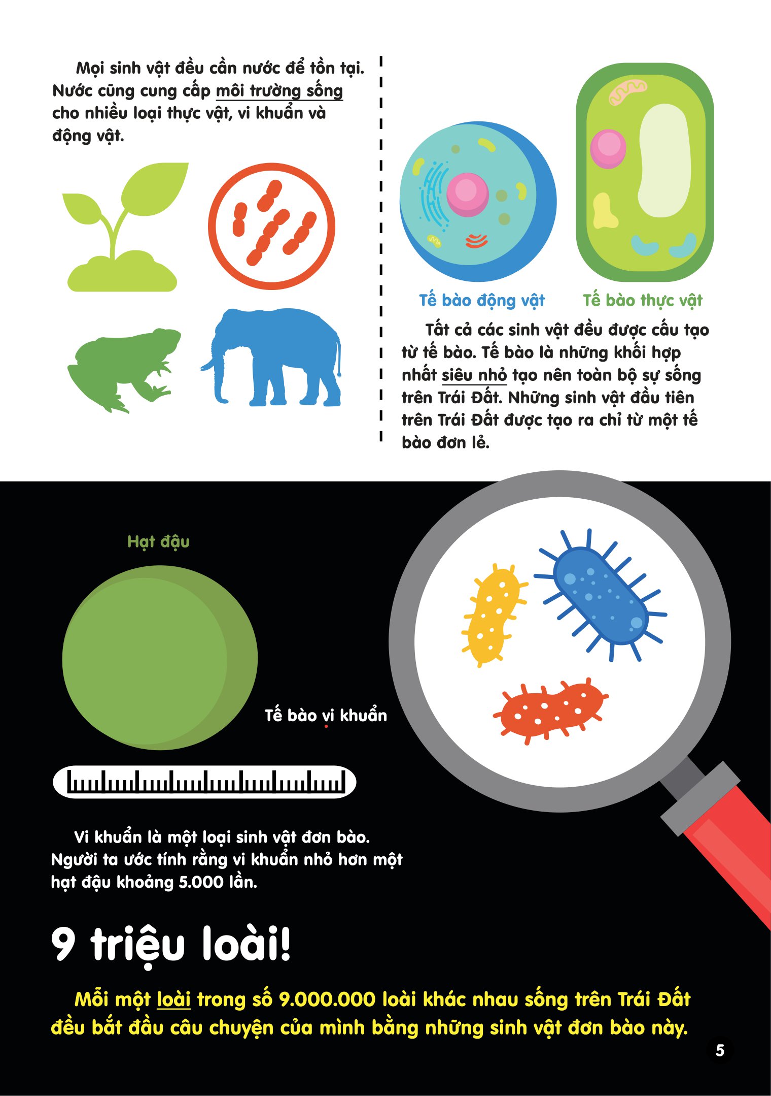 infographics - bách khoa tri thức bằng đồ họa cho trẻ em - tiến hóa