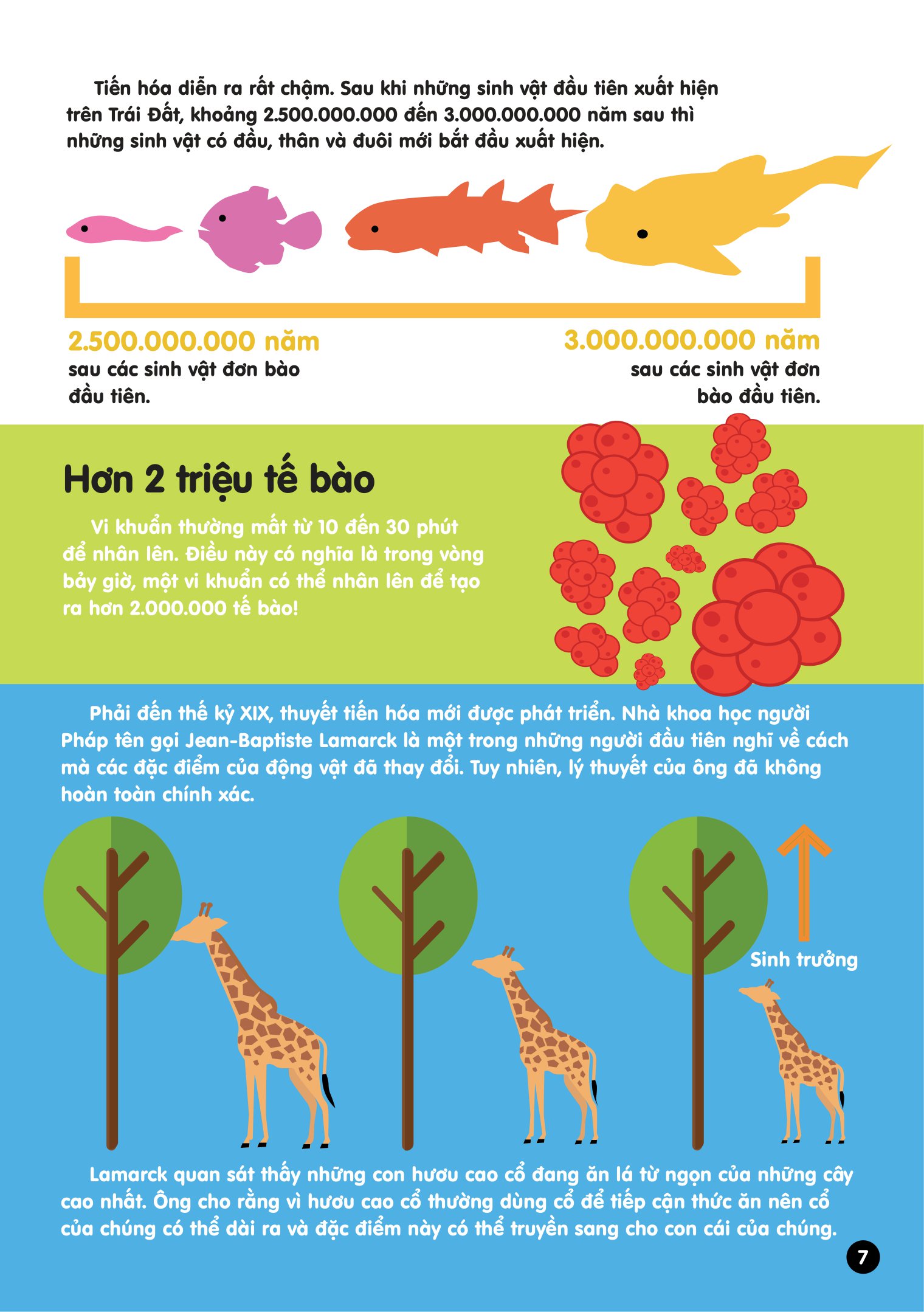 infographics - bách khoa tri thức bằng đồ họa cho trẻ em - tiến hóa