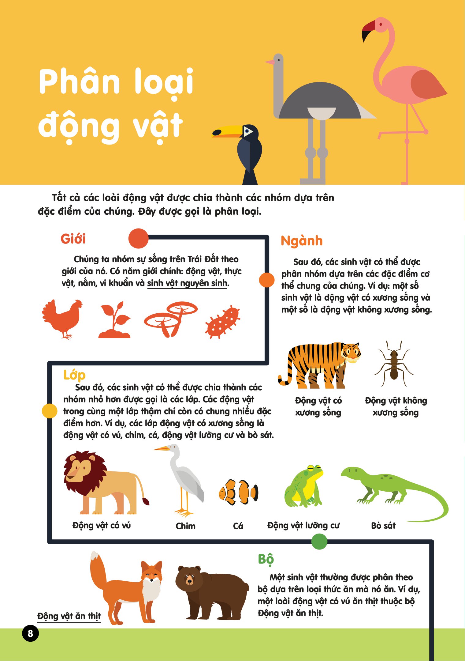 infographics - bách khoa tri thức bằng đồ họa cho trẻ em - tiến hóa