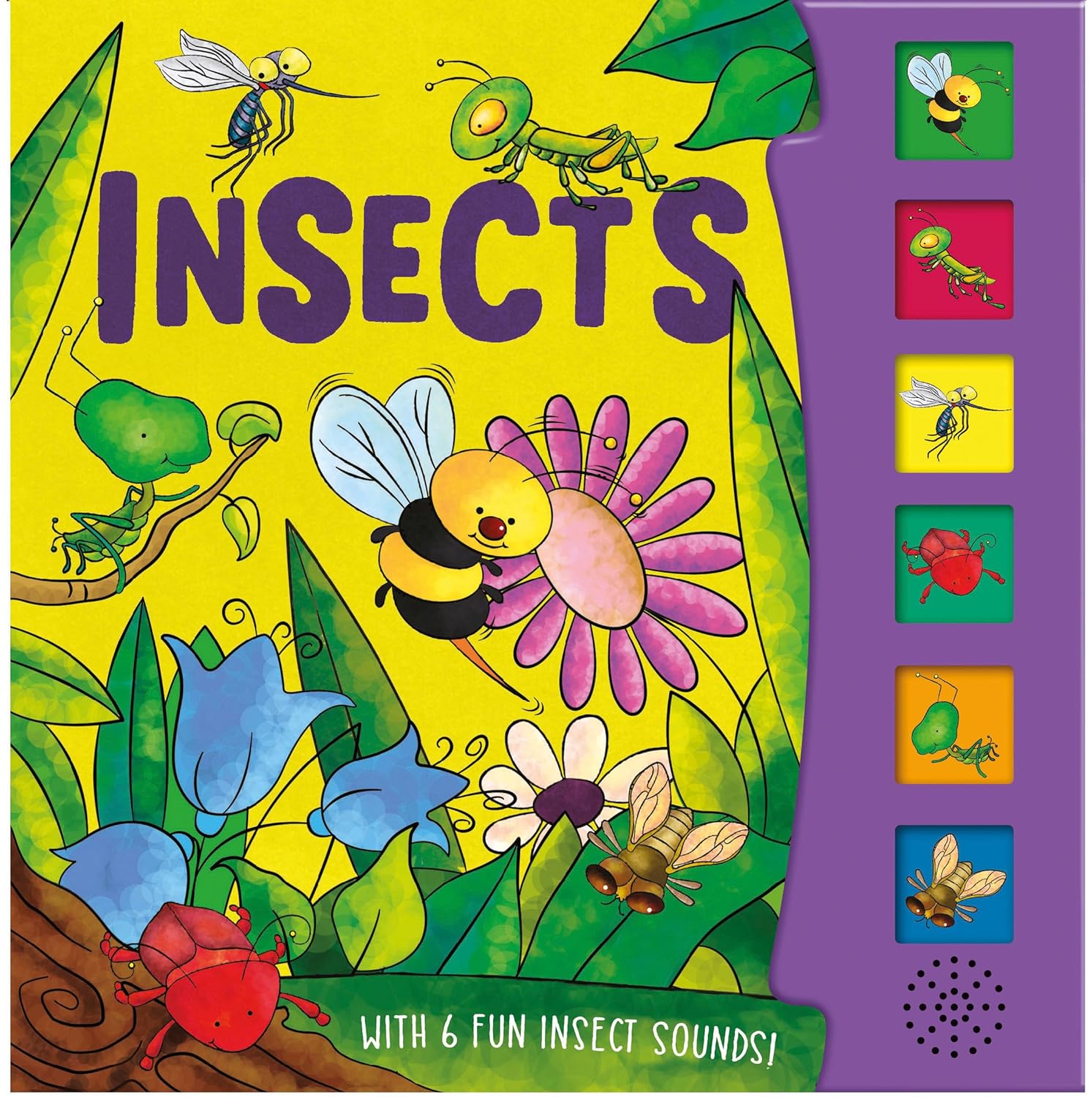 Insects - With 6 Fun Insect Sounds!